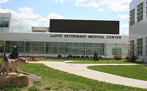 LVMC exterior