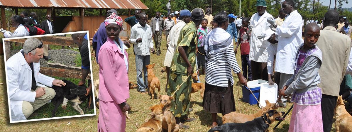 Canine vaccination in Kenya