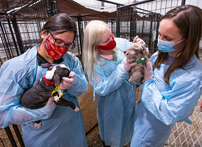 Veterinary students holding rescued puppies