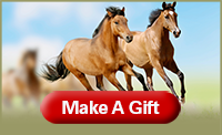 Equine Make A Gift