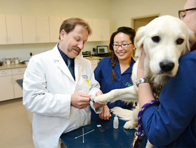 Dr. James Noxon exams canine patient