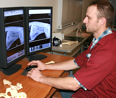 Dan Breuer examining x-rays