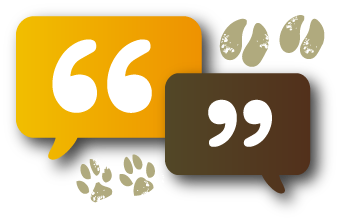 conversation blurbs