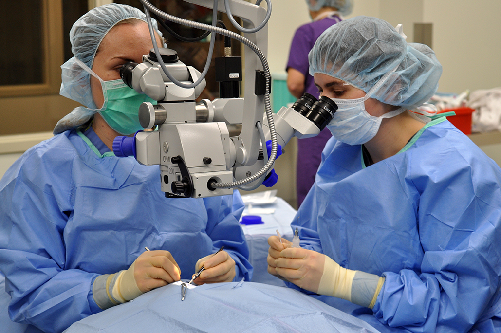 Ophthalmology Surgery
